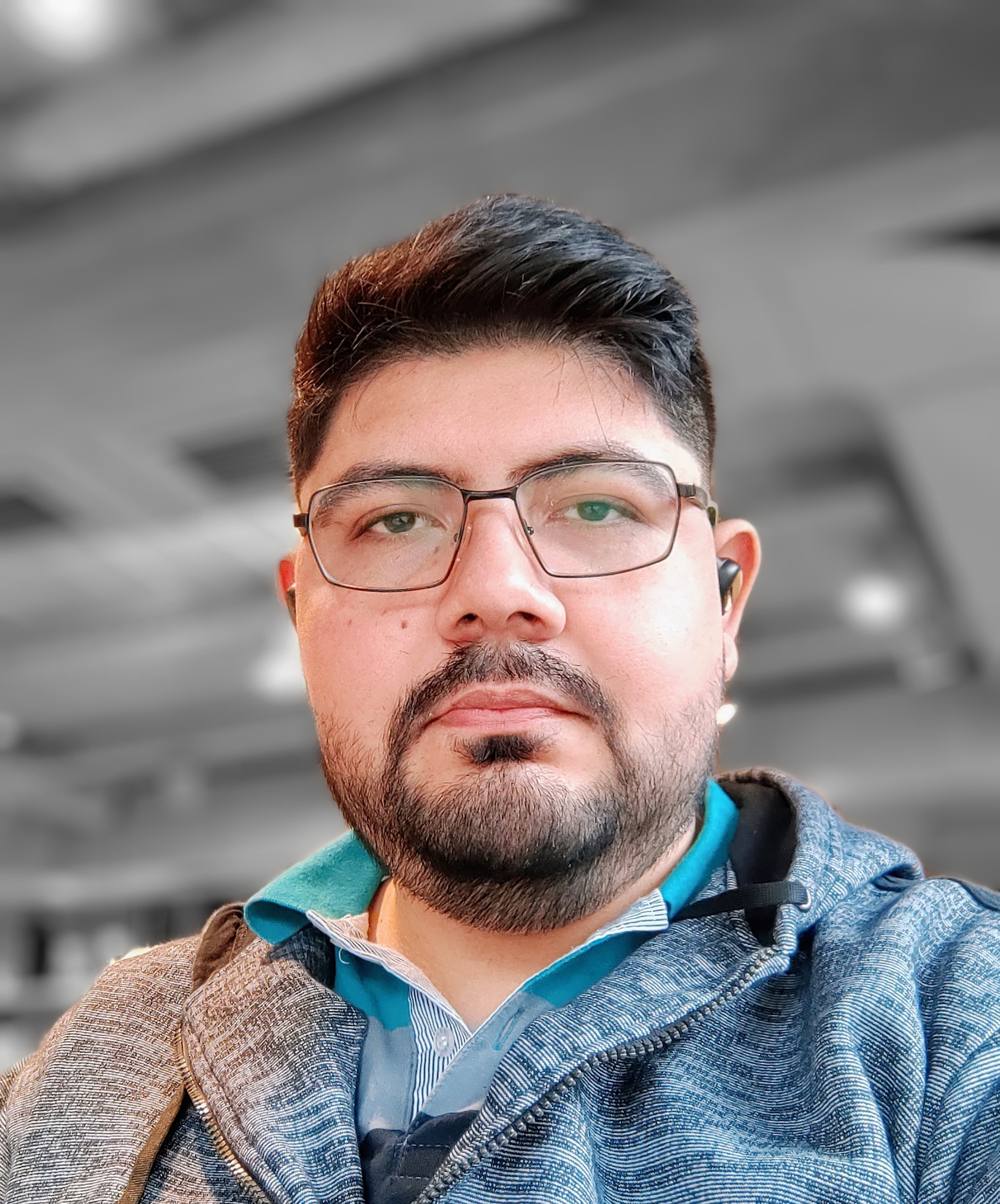 Miembro del equipo - Desarrollador